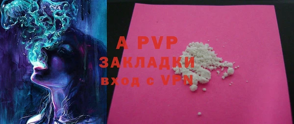 ГАЛЛЮЦИНОГЕННЫЕ ГРИБЫ Наволоки