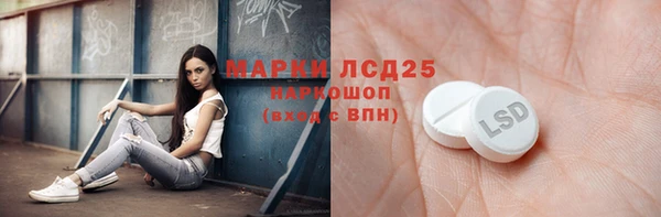 ГАЛЛЮЦИНОГЕННЫЕ ГРИБЫ Наволоки