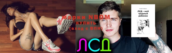 ГАЛЛЮЦИНОГЕННЫЕ ГРИБЫ Наволоки
