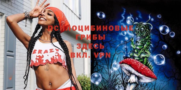 молекула духа Навашино