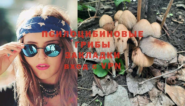ГАЛЛЮЦИНОГЕННЫЕ ГРИБЫ Наволоки