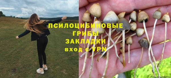 тгк Михайловка
