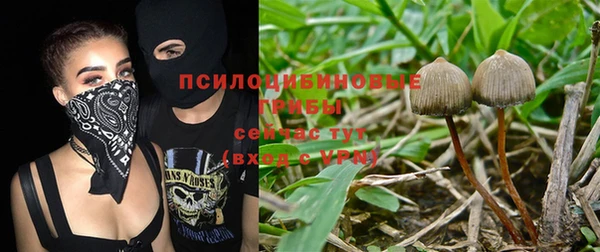 молекула духа Навашино