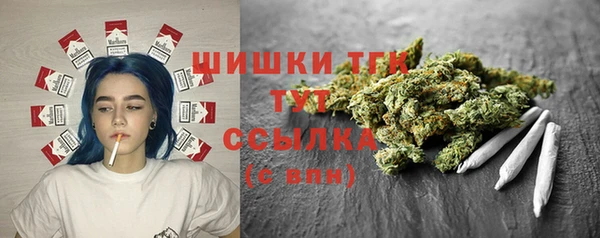молекула духа Навашино