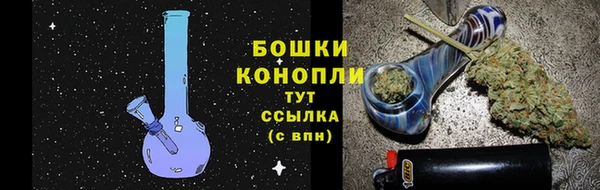 молекула духа Навашино