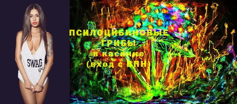 дарнет шоп  Братск  Псилоцибиновые грибы мухоморы 