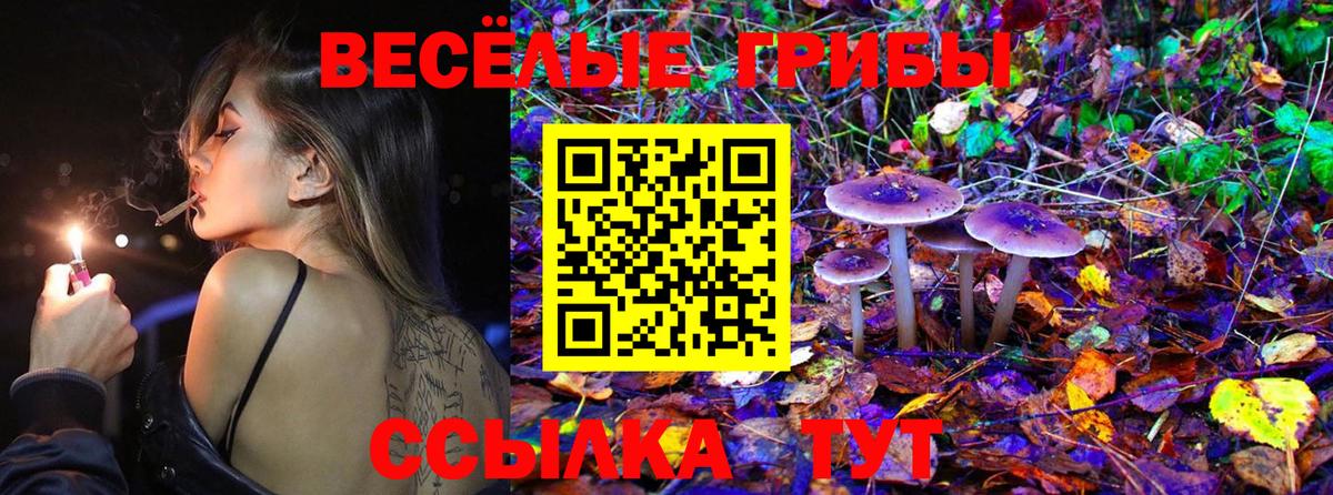 Галлюциногенные грибы прущие грибы  Братск 