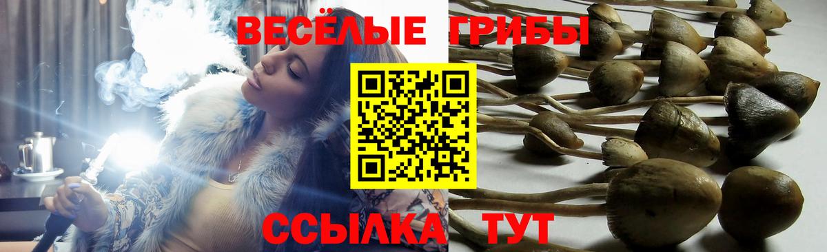 Галлюциногенные грибы мицелий Братск